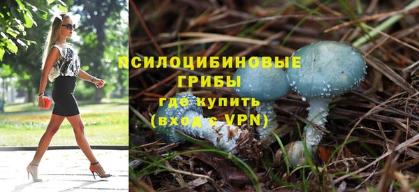 МДПВ Остров