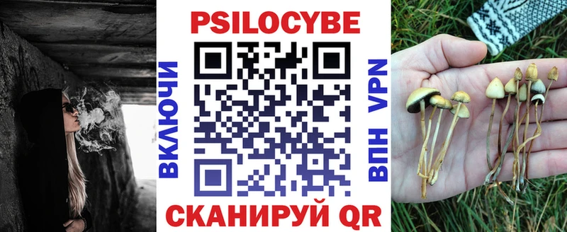 Купить  Спас-Деменск  Галлюциногенные грибы Psilocybe 